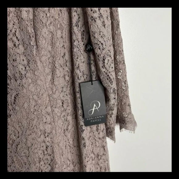 NWT Adrianna Papell Womens Taupe Long lace gown S Evening Dress size 18W - Picture 8 of 10